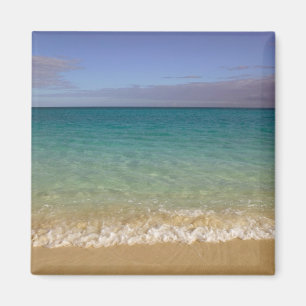 Turks und Caicos, Providenciales Island, Grace 2 Magnet