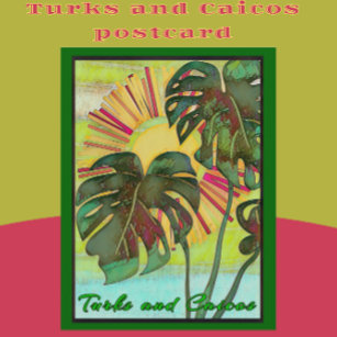 Turks und Caicos Tropisches Paradies Kunst Postkarte