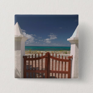 Turks- und Caicosinseln, Grand Turk Island, Cockbu Button