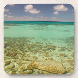 Turks- und Caicosinseln, Grand Turk Island, Cockbu Getränkeuntersetzer