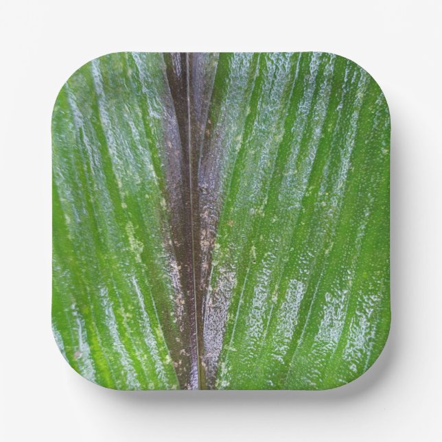 Turmergrünes Leaf 7" Quadrat Teller (Vorderseite)