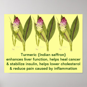 Turmeric Poster