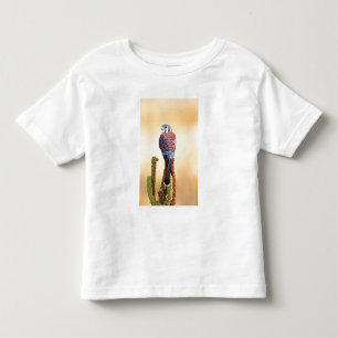 Turmfalke, Falco sparverius, Einheimisch in den US Kleinkind T-shirt