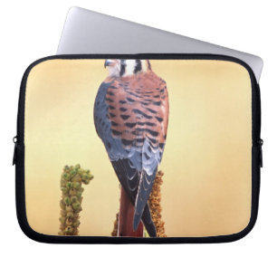 Turmfalke, Falco sparverius, Einheimisch in USA & Laptopschutzhülle