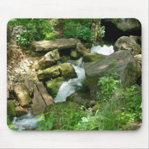 Turner-Frühlinge Mousepad