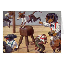 Turnhallen-Klasse für Hunde