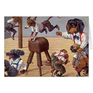 Turnhallen-Klasse für Hunde