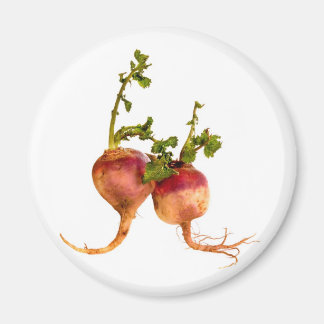 Turnip für Ihre Geschmacksrichtungen Magnet