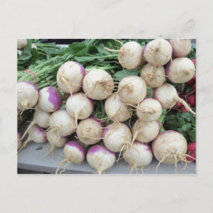 Turnip Pile Postkarte