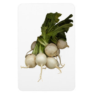 Turnips Foto Magnet