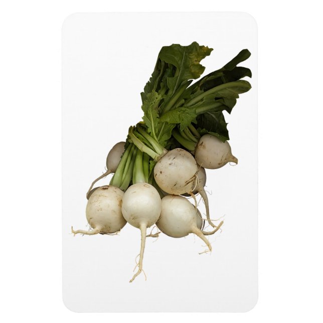 Turnips Foto Magnet (Vertikal)