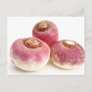 Turnips Postkarte