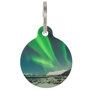 Turnonce Arm Aurora Haustiermarke