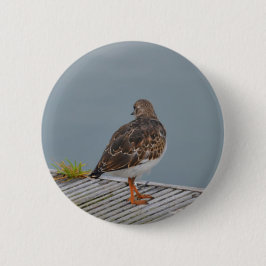 Turnstone Button