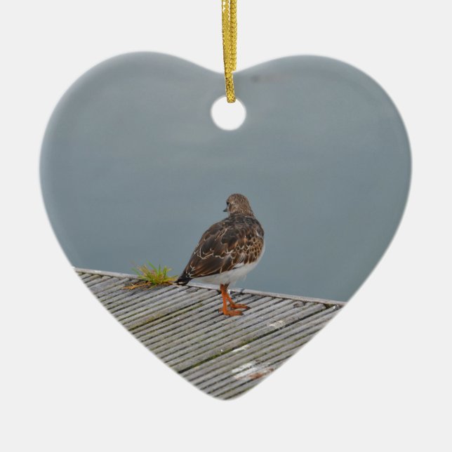 Turnstone Keramik Ornament (Vorne)