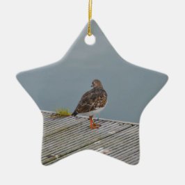 Turnstone Keramik Ornament