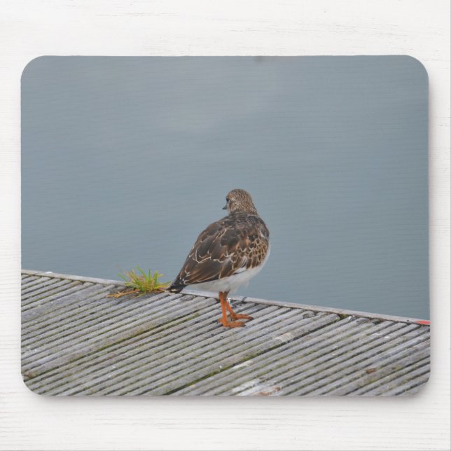 Turnstone Mousepad (Vorne)