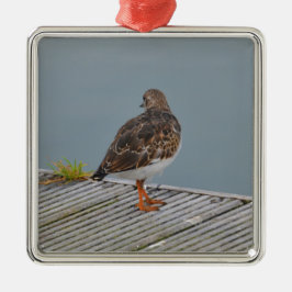 Turnstone Silbernes Ornament