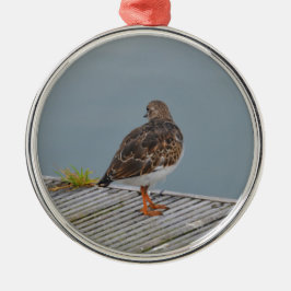 Turnstone Silbernes Ornament