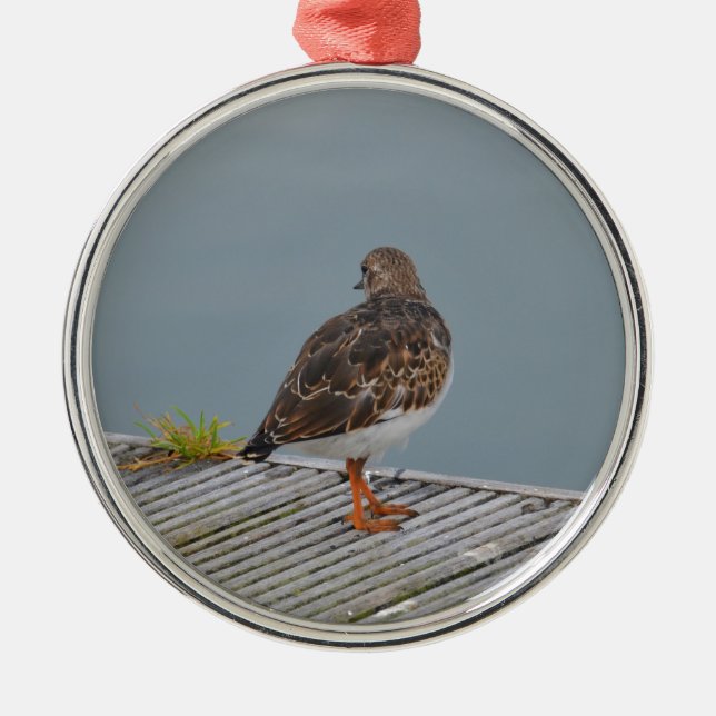 Turnstone Silbernes Ornament (Vorne)