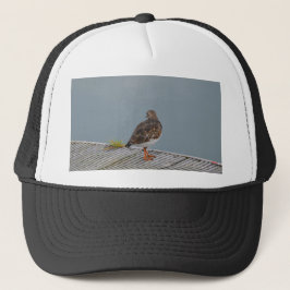 Turnstone Truckerkappe