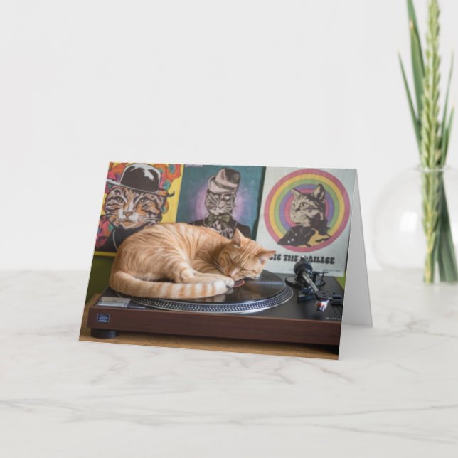 Turntable Tabby Faltkarte Karte (Vorderseite)