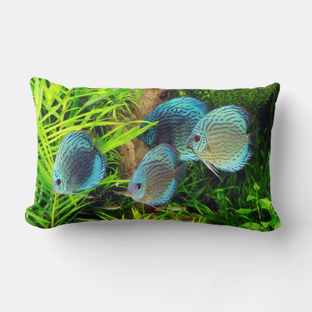Turquoise Blue Discus Lendenkissen (Vorderseite)