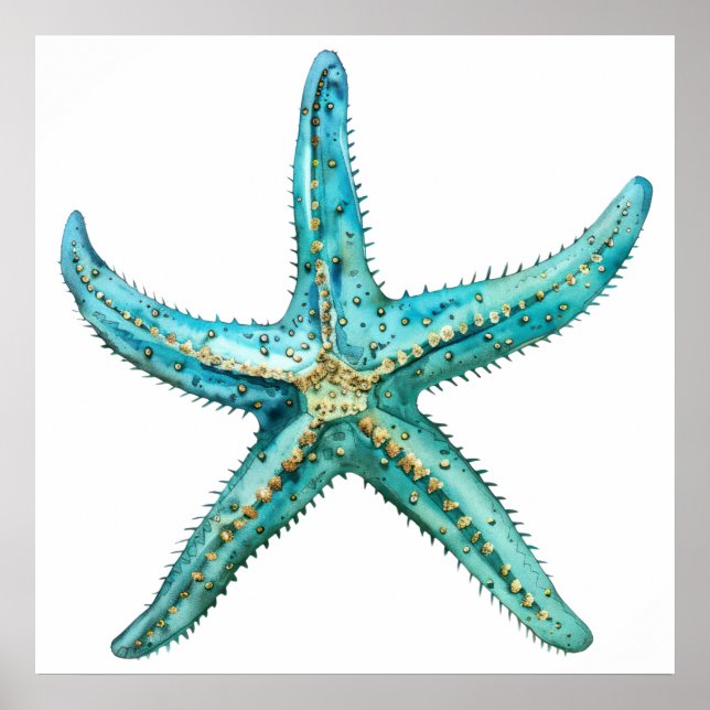  Turquoise starfish  24 x 24 Poster (Vorne)