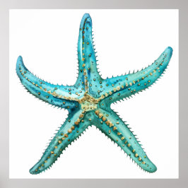 Turquoise starfish Poster
