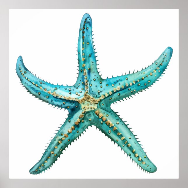  Turquoise starfish Poster (Vorne)