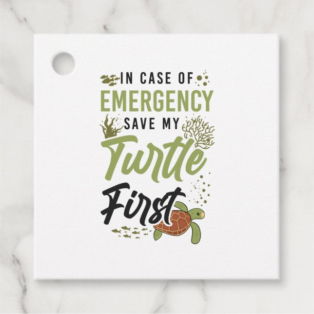 Turtelschildkröte im Fall Geschenkanhänger (Vorderseite)