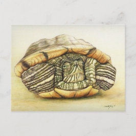 "Turtle" Art Reproduction Postcard Postkarte