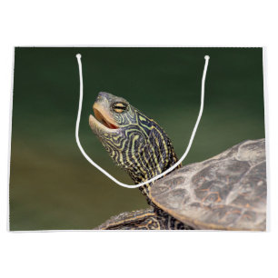 Turtle auf dem LaChute River Große Geschenktüte