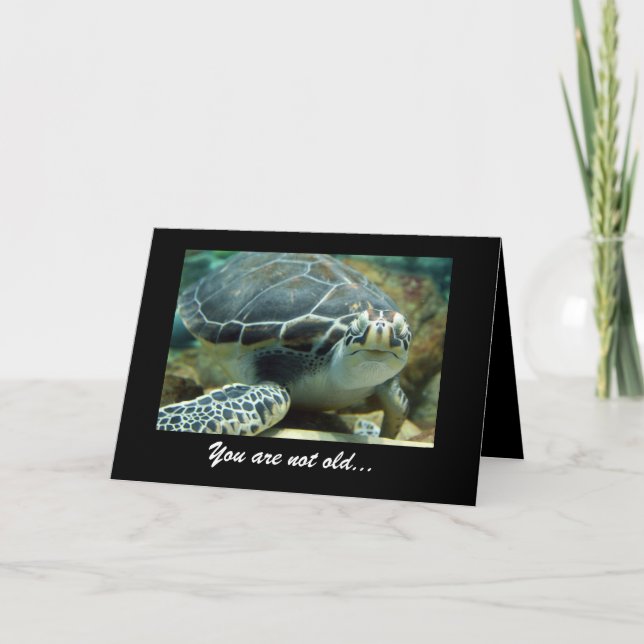 Turtle Birthday Card Karte (Vorderseite)