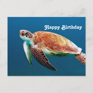 Turtle Blauwasser Meer Foto Geburtstag Postkarte
