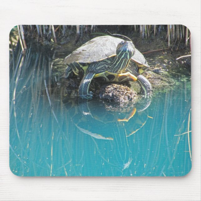 Turtle by Water mit Reflection Foto Lake Animal Mousepad (Vorne)