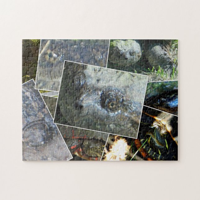 Turtle Collage Puzzle (Horizontal)