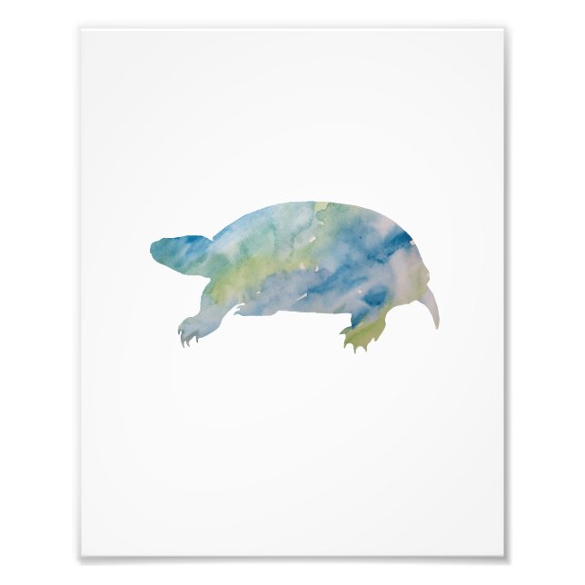 Turtle Colorcolor Wasserfarbe Fotodruck (Vorne)