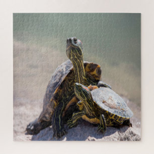 Turtle-Liebe Puzzle