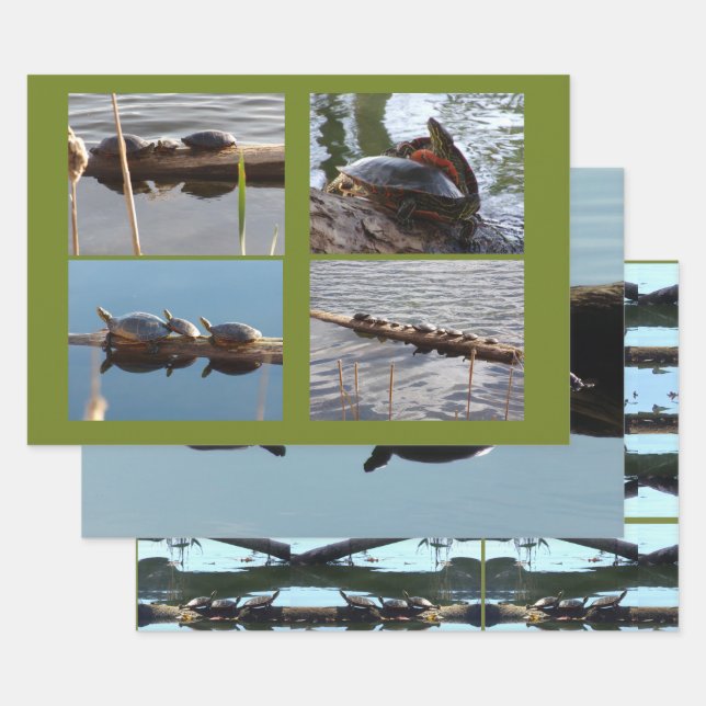 Turtle Lover Wrapping Paper Flat Shts Set of 3 Geschenkpapier Set (Set)