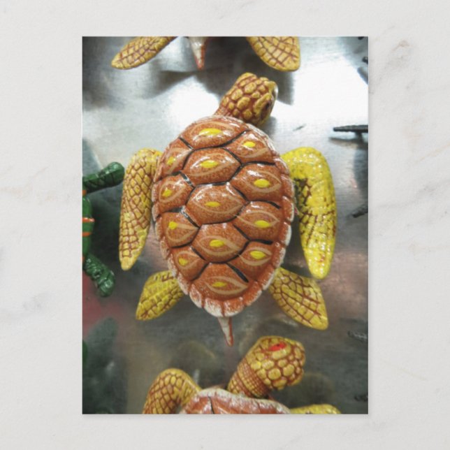 Turtle Magnet Postkarte (Vorderseite)