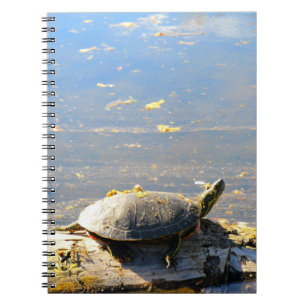 Turtle-Notebook Notizblock