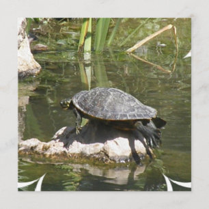 Turtle on a Rock Einladung