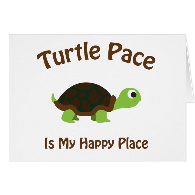 Turtle Pace (Vorderseite (Horizontal))