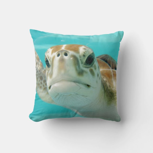 Turtle Round Clock Imitate Canvas Print Kissen (Vorderseite)