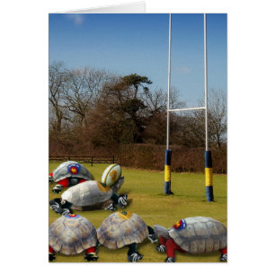 Turtle Rugby