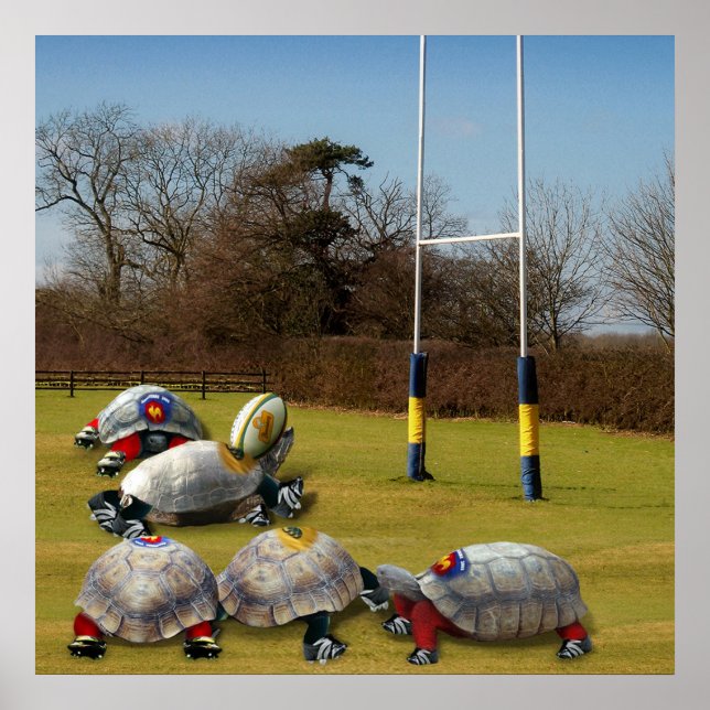 Turtle Rugby Poster (Vorne)