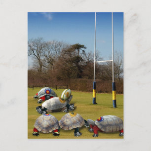 Turtle Rugby Postkarte