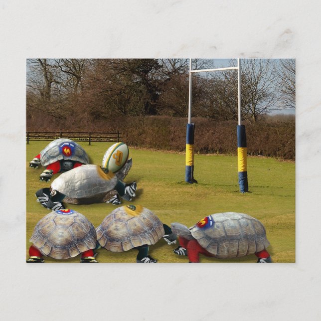 Turtle Rugby Postkarte (Vorderseite)