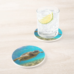 Turtle Sandstone Untersetzer